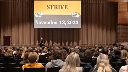What Is STRIVE?