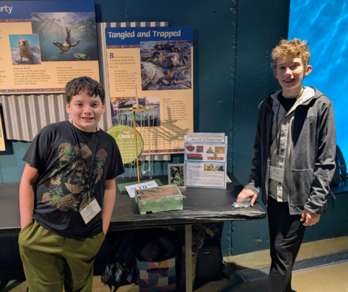 minnesota state zoo project presentation