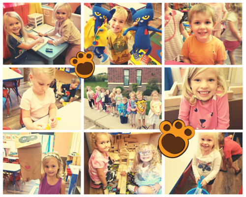 4k student collage